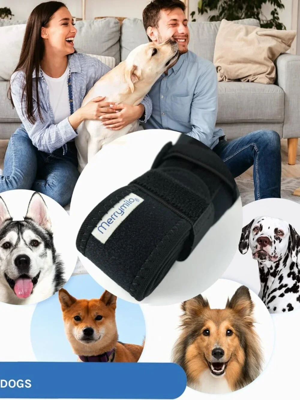Dog Knee Brace for Hind Leg Support, Helps Stabilize ACL